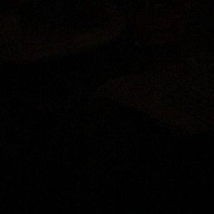 Meet your Posher, Trina